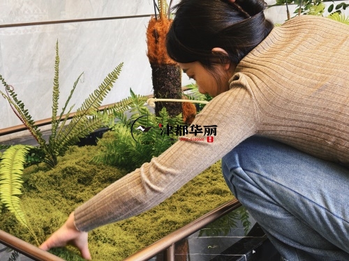 银川售楼部装修设计项目|镹臻设计